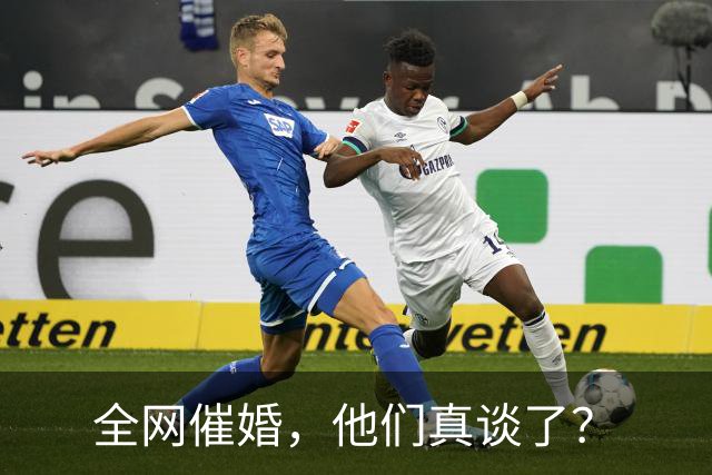 全网催婚，他们真谈了？